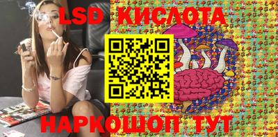 дурь Сланцы