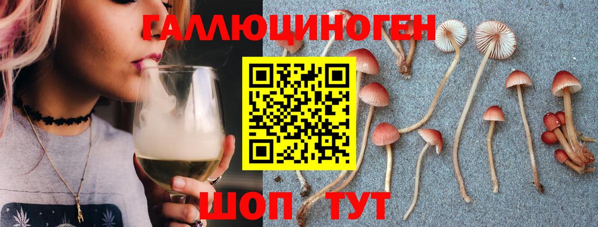 Галлюциногенные грибы MAGIC MUSHROOMS  Псилоцибиновые грибы Magic Shrooms  Самара  Вход с VPN 